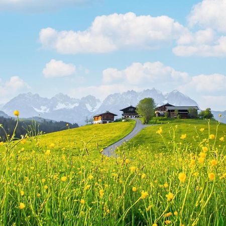 Mountain Vista - Bio Yoga Hof Διαμέρισμα Κίτσμπουελ Εξωτερικό φωτογραφία